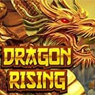 #Dragon Rising game icon